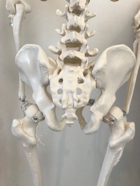 骨盤（仙骨）矯正で腹部の引き攣りが軽減