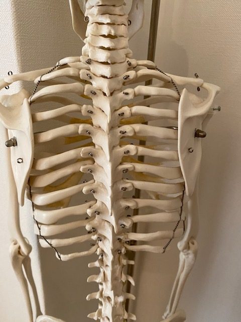 肋骨骨折を早く改善させる方法